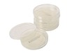 SensiPlate, med Müller- Hinton agar