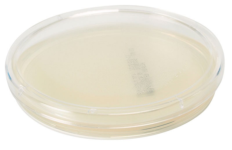Oxoid, Müller Hinton Agar (Kølevare)