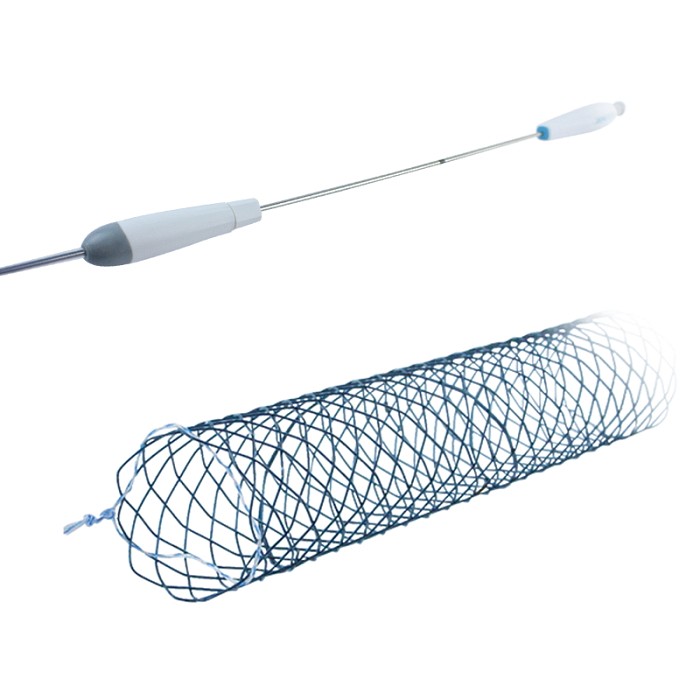 Micro-Tech, Biliary SHOW-Metal-Stent, covered, 10/80 mm