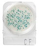 Compact Dry Vibrio parahaemolyticus, VP