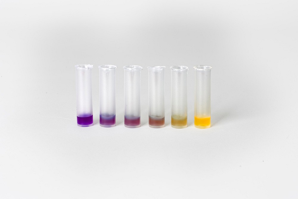 Premi Test