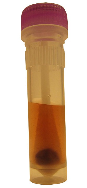 Pyromol proteiinijäämien tunnistamiseen