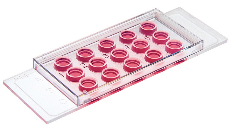 µ-Slide Angiogenesis 15-w slide