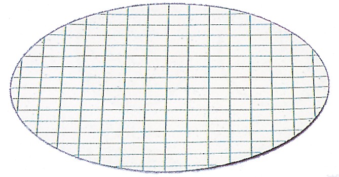 Kalvosuodatin CN 0,45 µm valkoinen/vihreä Ø 47 mm