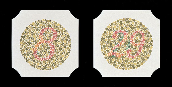Ishihara fargesans