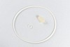 Disposable Set Lipocollector 3
