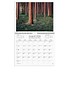 Väggkalender Vår vackra skog 2026 300x240mm