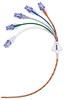 ALTIUS 5 Lumen CVK Set 9Fr 15cm