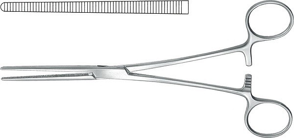 Peang Rochester-Pean rak 20cm OP-kval