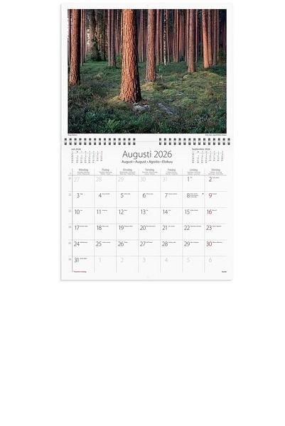 Väggkalender Vår vackra skog 2026 300x240mm